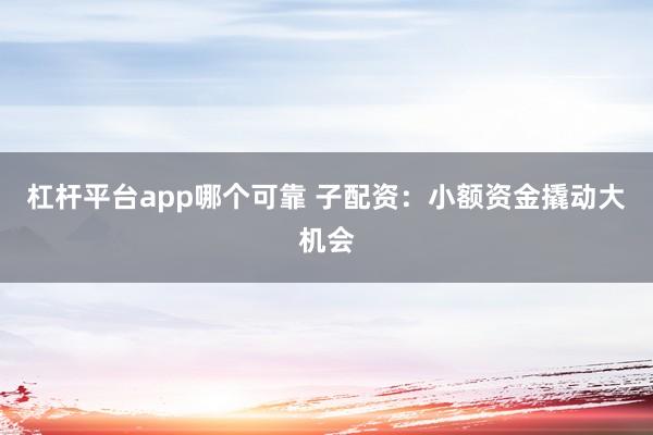杠杆平台app哪个可靠 子配资：小额资金撬动大机会
