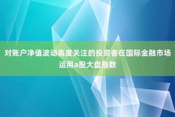 对账户净值波动高度关注的投资者在国际金融市场运用a股大盘指数