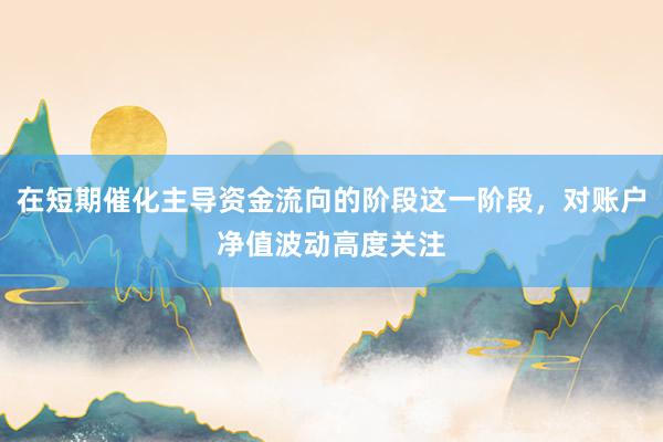 在短期催化主导资金流向的阶段这一阶段，对账户净值波动高度关注