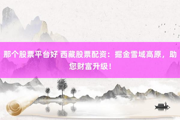 那个股票平台好 西藏股票配资：掘金雪域高原，助您财富升级！